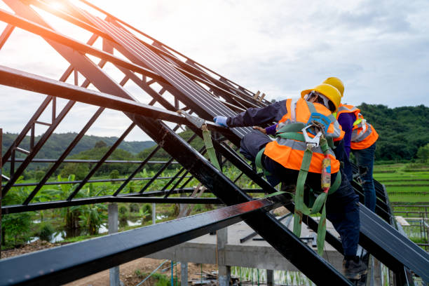 Best Roof Repair Services  in Mcgaheysville, VA