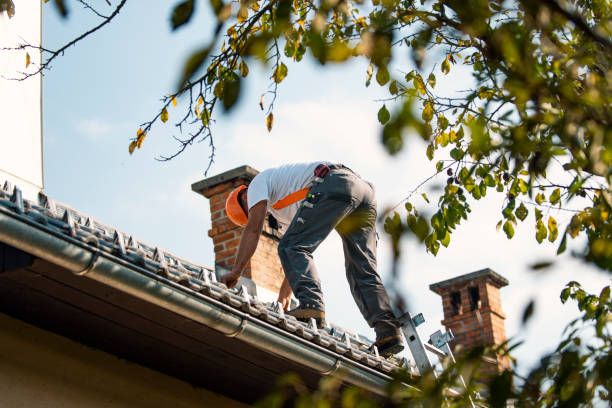 Best Flat Roof Repair Services  in Mcgaheysville, VA