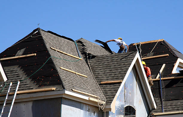 Best Roof Gutter Cleaning  in Mcgaheysville, VA