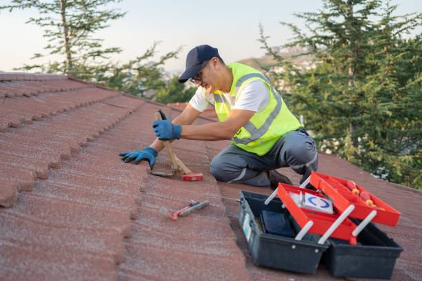 Best Emergency Roof Repair  in Mcgaheysville, VA
