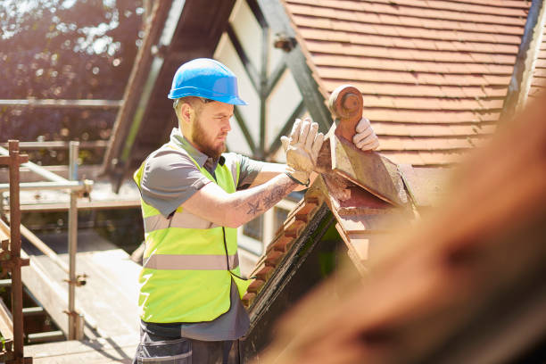 Best Local Roofing Companies  in Mcgaheysville, VA