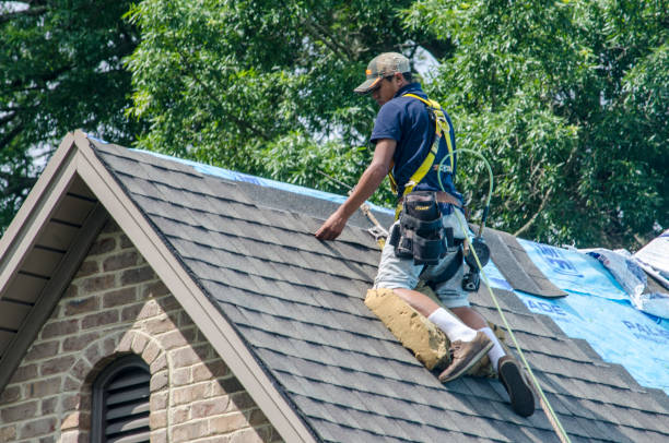 Best Best Roofing Contractors  in Mcgaheysville, VA